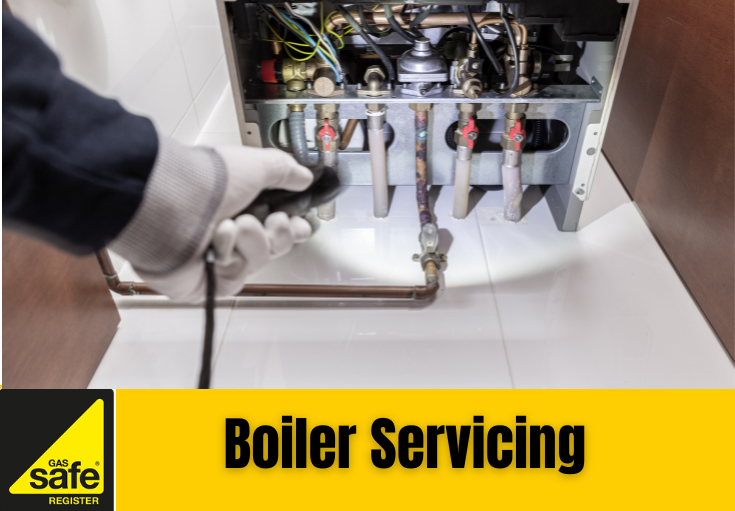 boiler service West Kingsdown